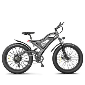 48V 750W Mountain Electric Fat Tire Bicycle With Hidden Battery